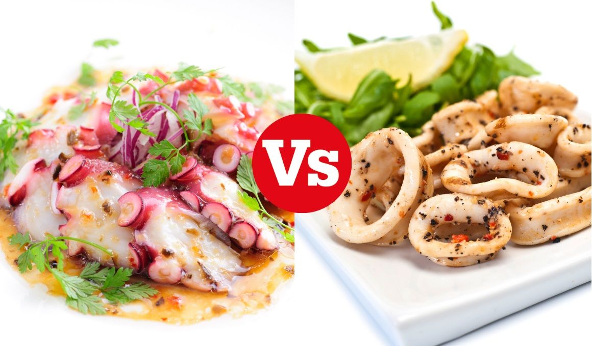 ¿Pulpo o calamar?