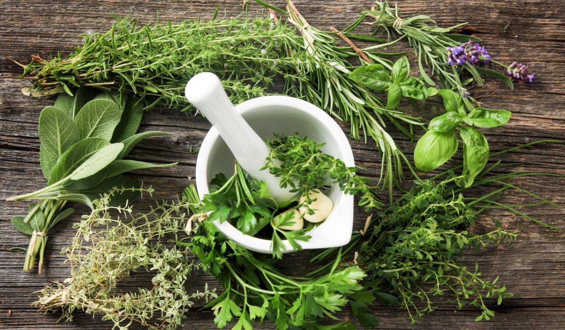 La salvia es una planta aromática con usos medicinales.