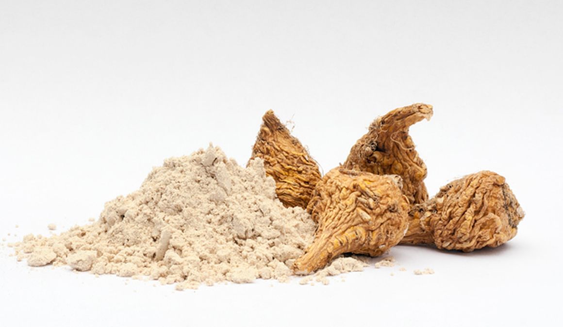 Todo sobre la maca, la raíz de los Andes que da energía y equilibra las hormonas 