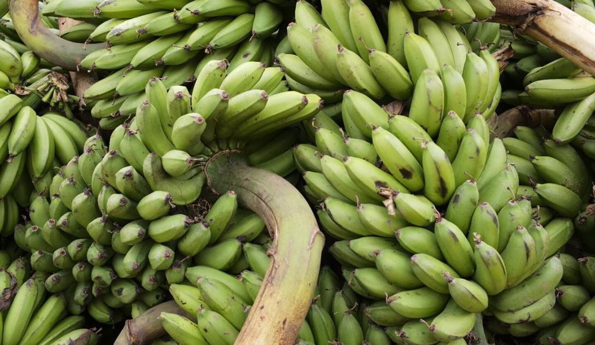 Bike Challenge Rwenzori, una aventura solidaria en bici por Uganda con Kelele Africa