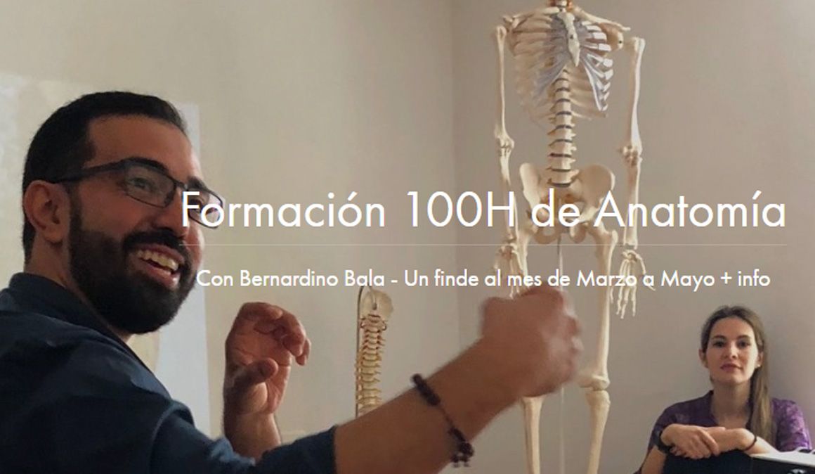 Formación Anatomía para el Yoga en ZUY Madrid