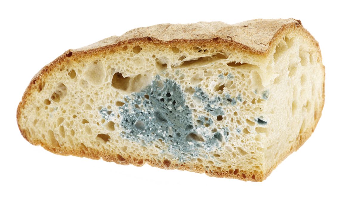 ¿Es seguro comer pan con moho?