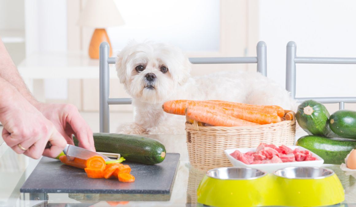 ¿Qué alimentos para personas son sanos y seguros para tu perro?