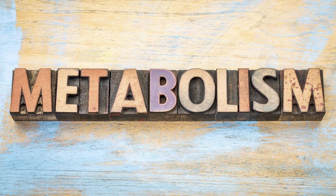 Así funciona... el metabolismo de los lípidos