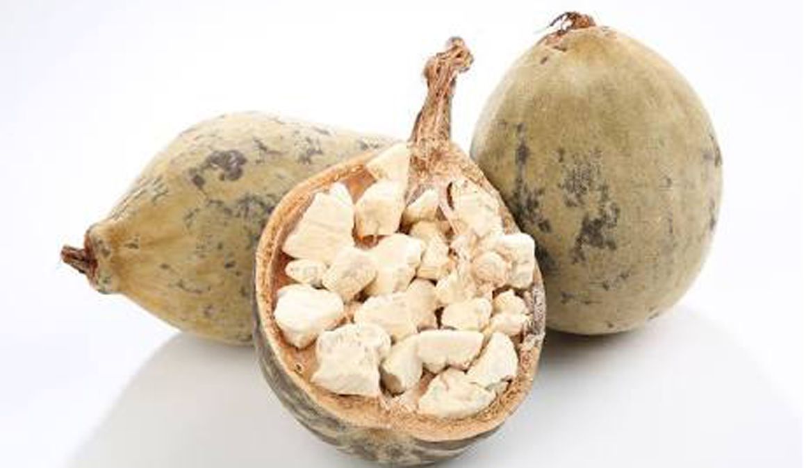 Baobab, el nuevo superalimento