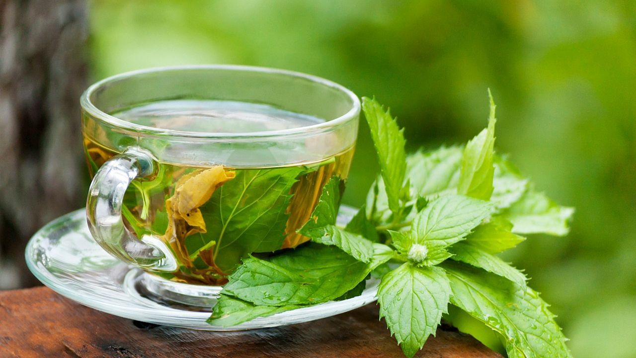 ¿El té verde ayuda a perder peso?