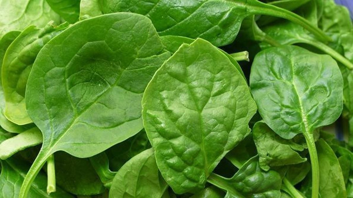 ¿Las espinacas un producto dopante?