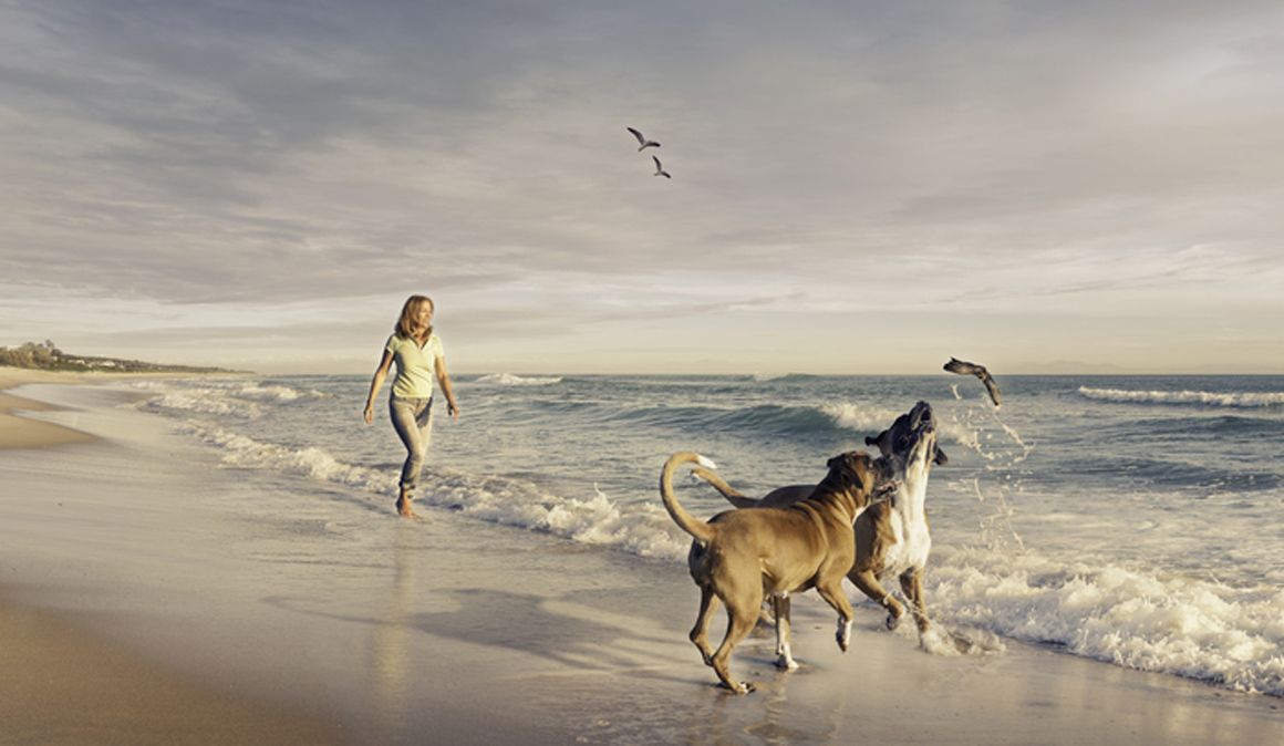 Tener un perro ayuda a tener mejor salud cardiovascular