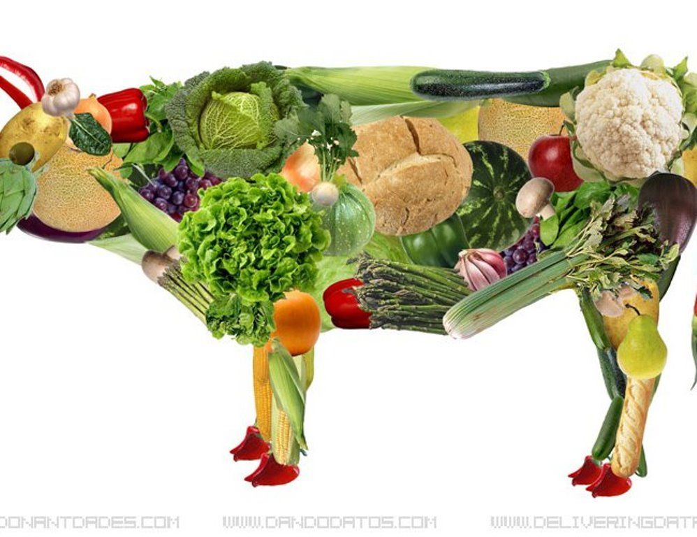 El estudio que dice que los vegetarianos tienen un riesgo mayor de ictus