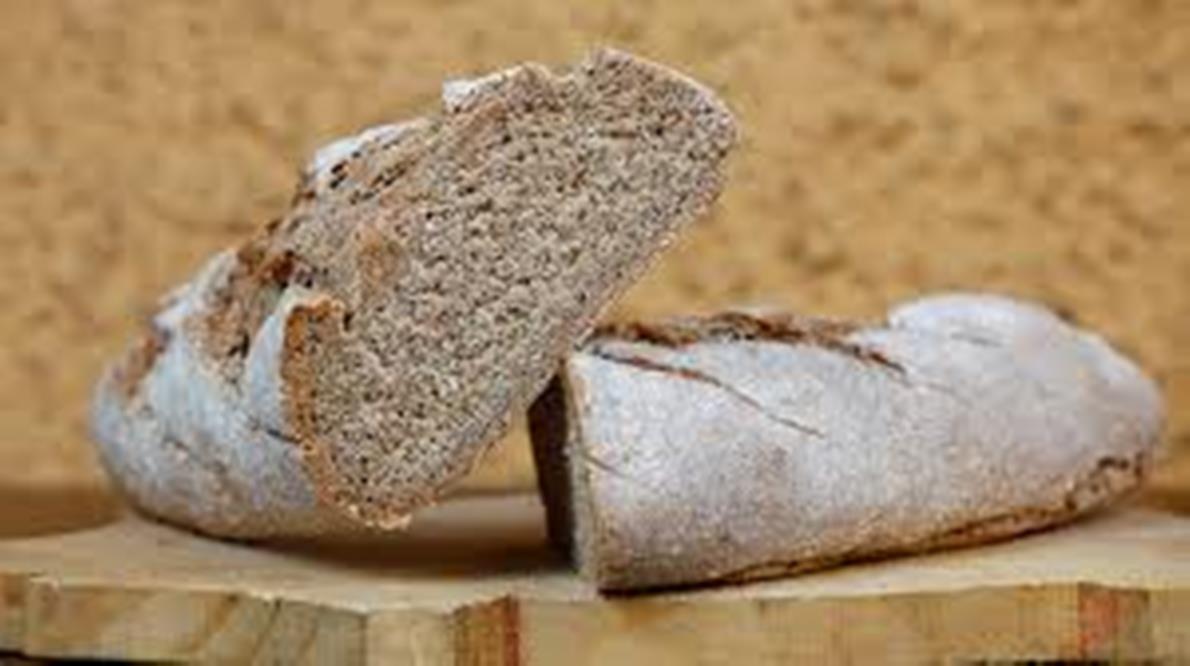 ¿Mejor pan de masa madre o integral?