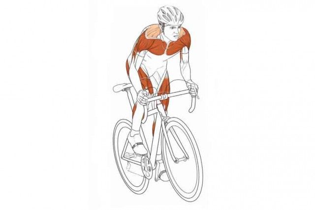 Anatomía de un ciclista: 10 ejercicios para volar dando pedales