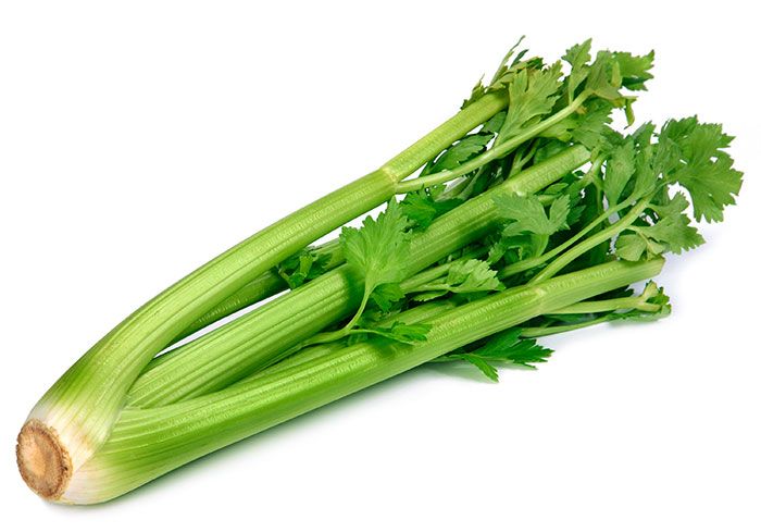 Los 5 alimentos que te ayudarán a adelgazar