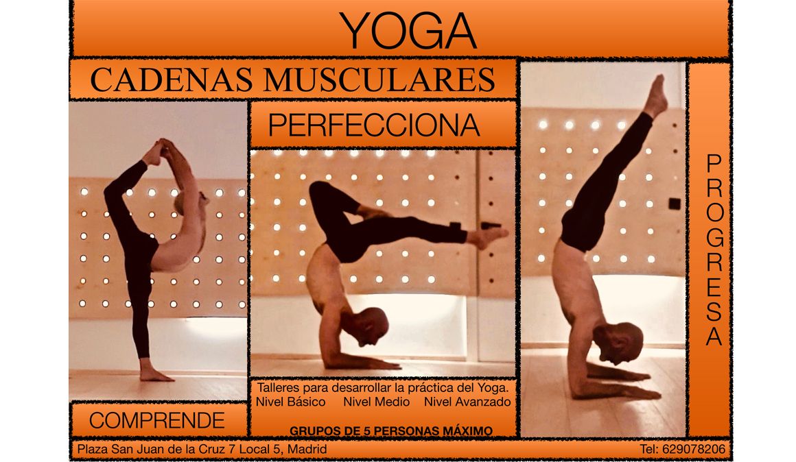 Taller: Yoga y el Dominio del Movimiento con Edel Fernández