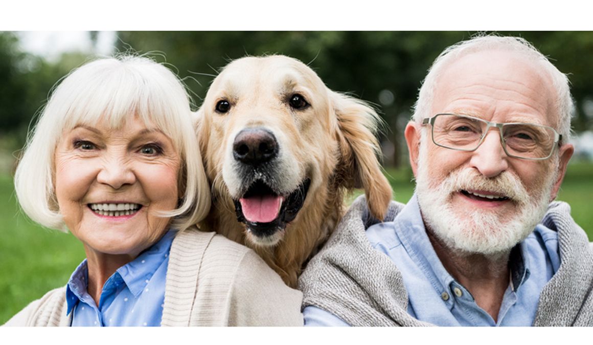 Las mascotas ayudan a mejorar la salud mental