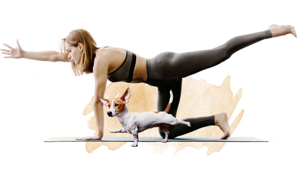 Vuelve el Yoga Dog Day el 16 de noviembre en Madrid
