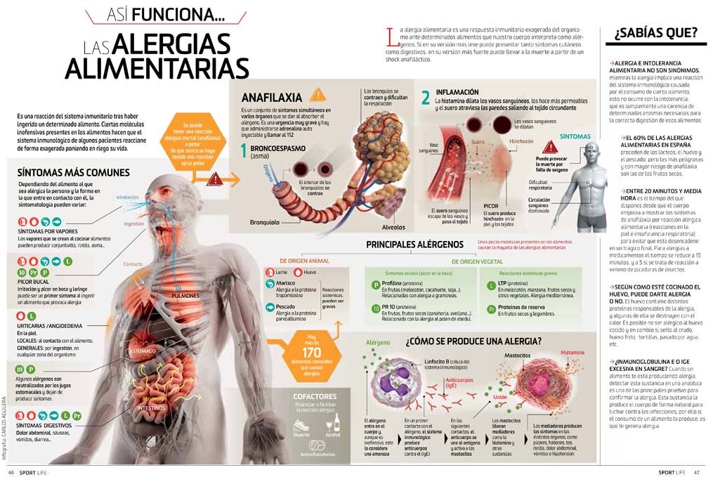 Así funcionan la alergias alimentarias