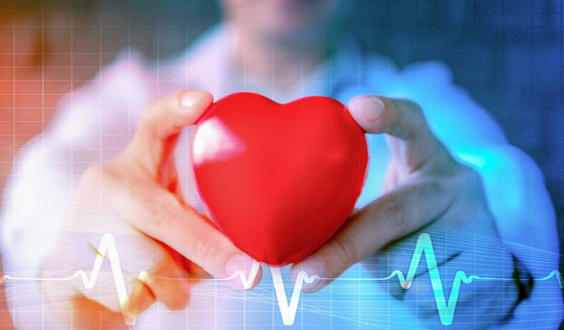 ¿Es mejor tener un corazón fino o grueso?
