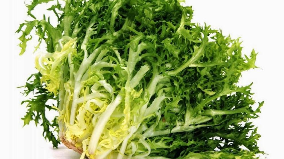 Los 10 mejores alimentos para el invierno