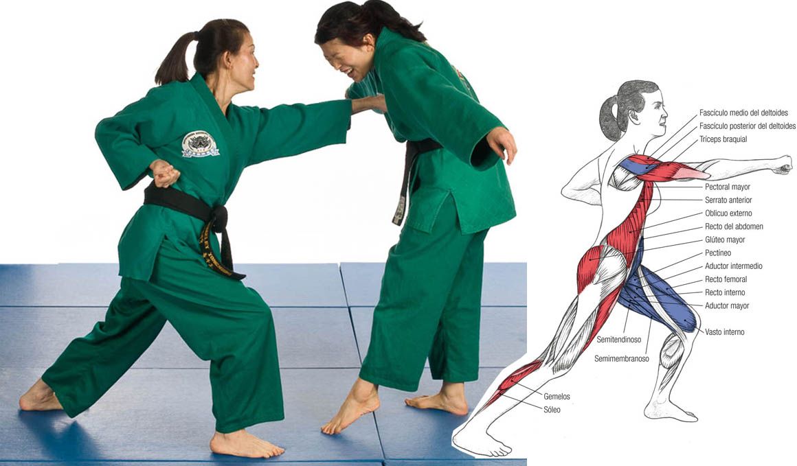 Cómo se mueven tus músculos cuando practicas artes marciales 
