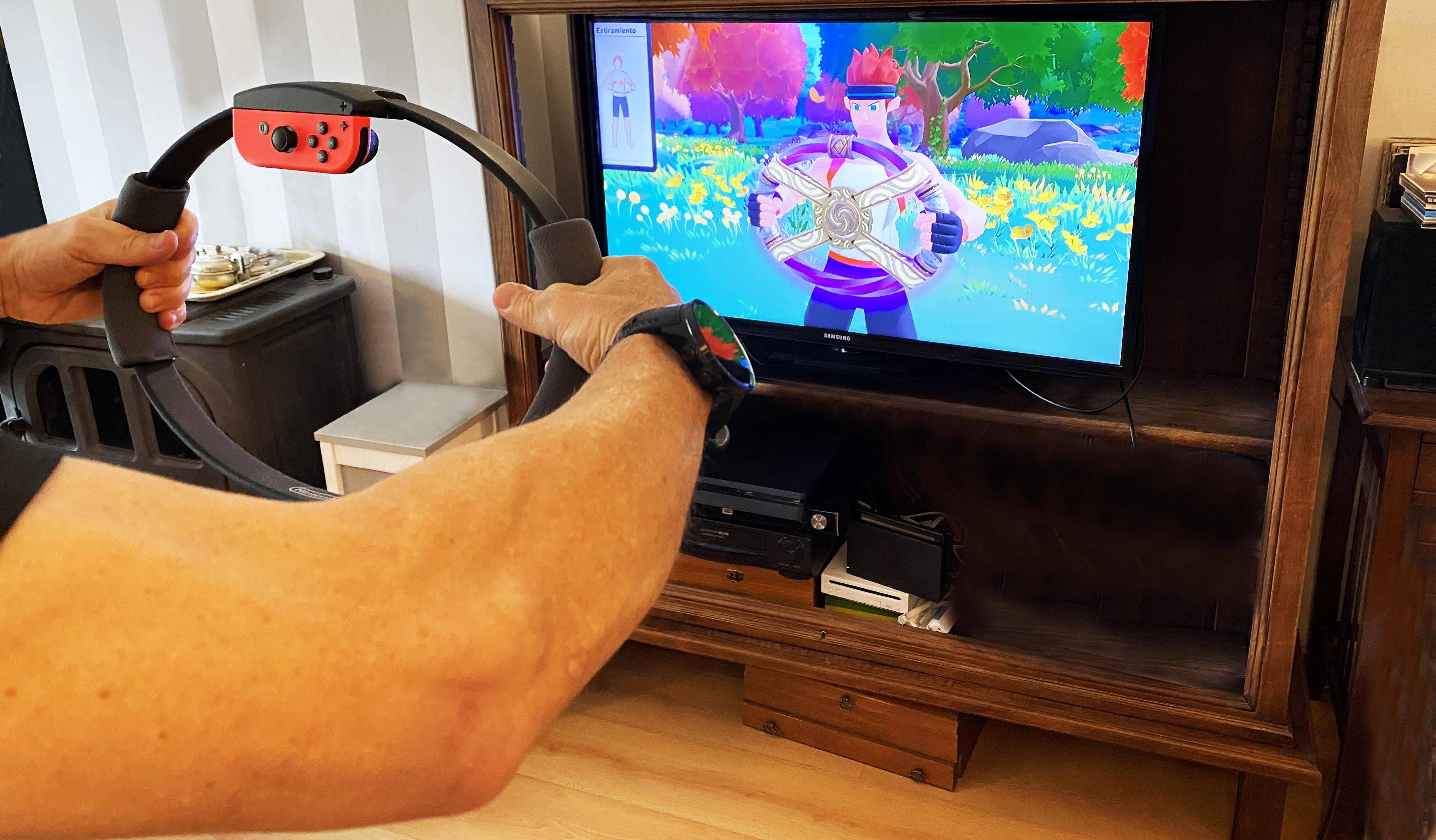 El Ring-Con es ese anillo de la foto con el que controlas el juego. Lo tienes que presionar, estirar, mover...hay que hacer fuerza de verdad para usarlo y registra la fuerza que aplicas sobre él.