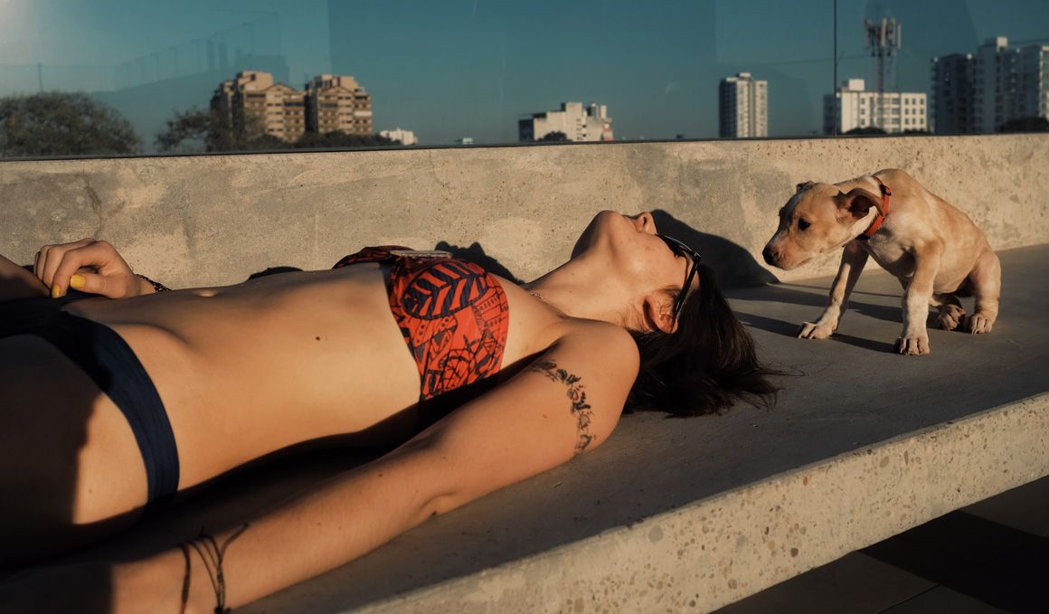 Cómo evitar la carencia de Vitamina D en cuarentena   «GUÍA OBSEQUIO»