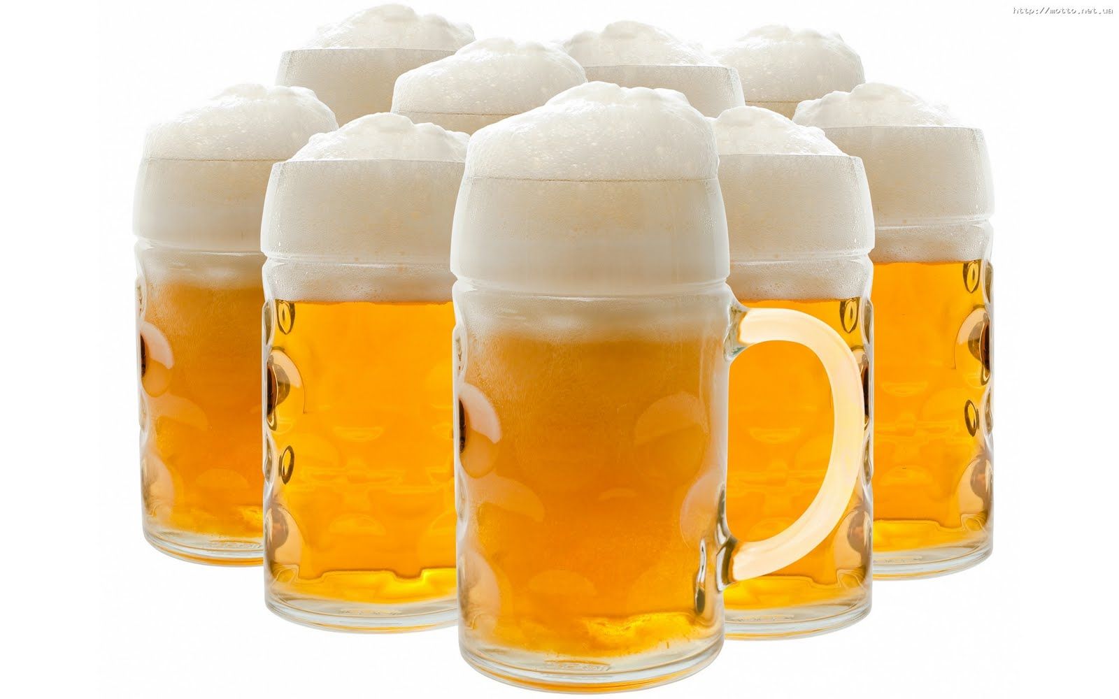 ¿SI no tengo levadura de verdad la puedo conseguir partiendo de una cerveza?