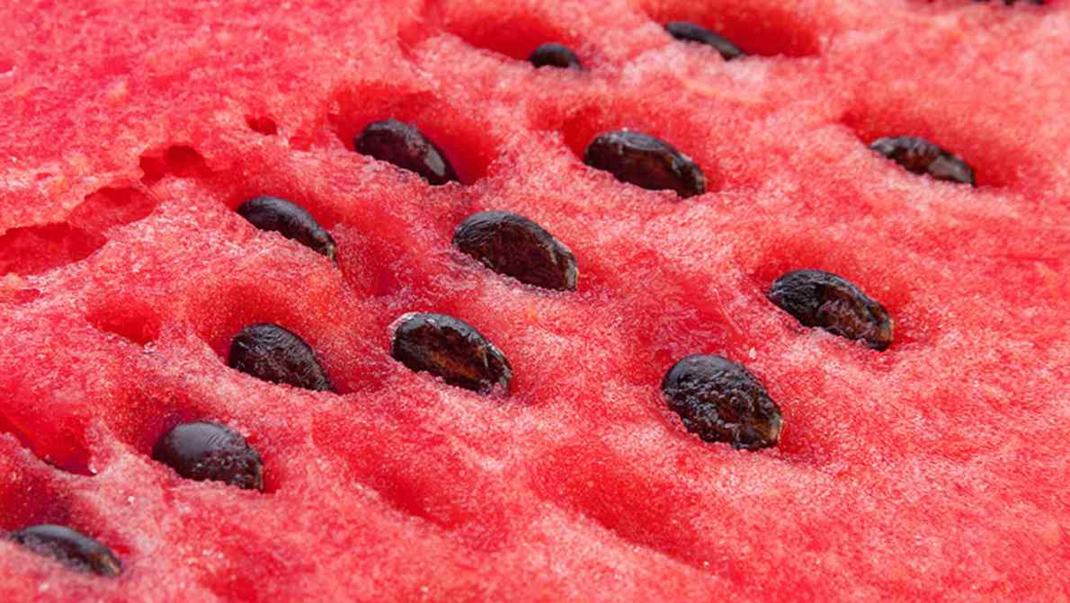 Por qué es un error no comerse las pepitas de la sandía