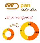 ¿El pan engorda?,