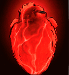 Frecuencia Cardiaca Máxima