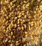 Alimentos deportivos: cereales integrales