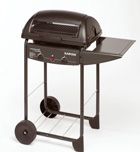 Alimentos deportivos: Una barbacoa saludable