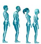 Los cambios en la figura después de los 40