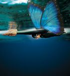 Ondulación: un ejercicio fácil para dominar la técnica de mariposa