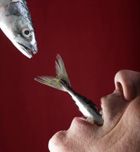 Cómo adelgazar comiendo grasas
