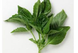 Alimentos deportivos: Albahaca, relajante y digestiva