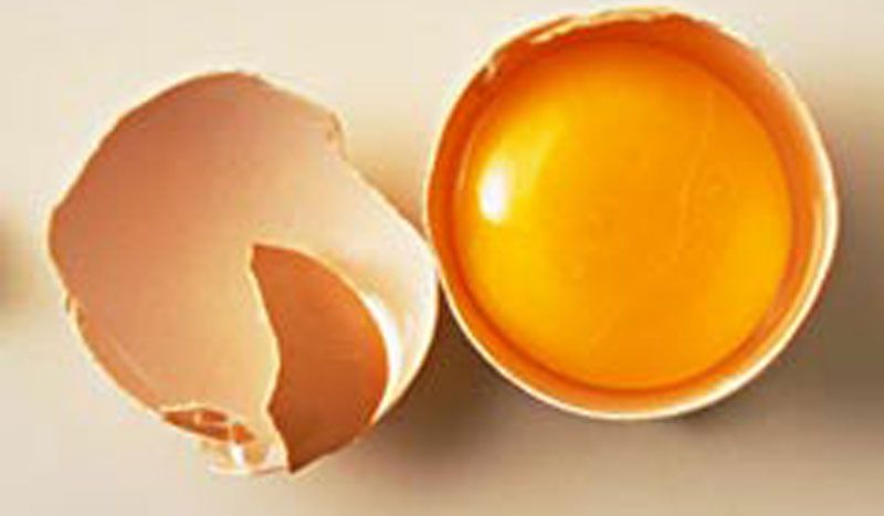 Alimentos deportivos: mitos sobre los huevos