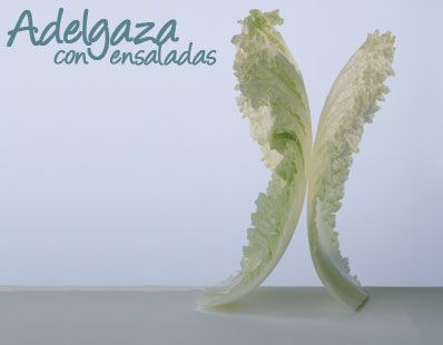 Adelgaza con ensaladas