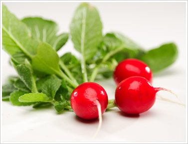 Alimentos frescos: Rábano