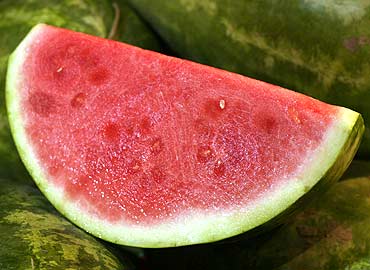 Alimentos frescos:sandía