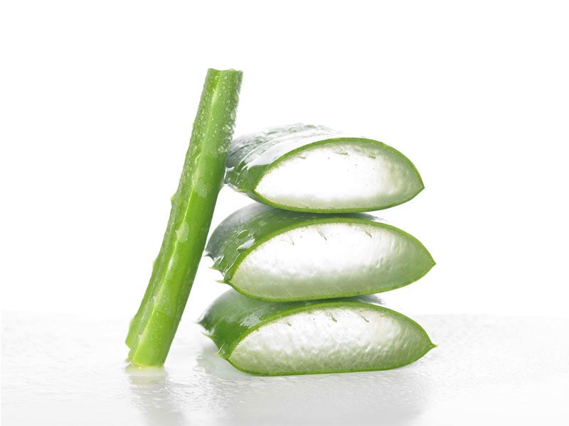 Aloe vera: La solución para los males veraniegos