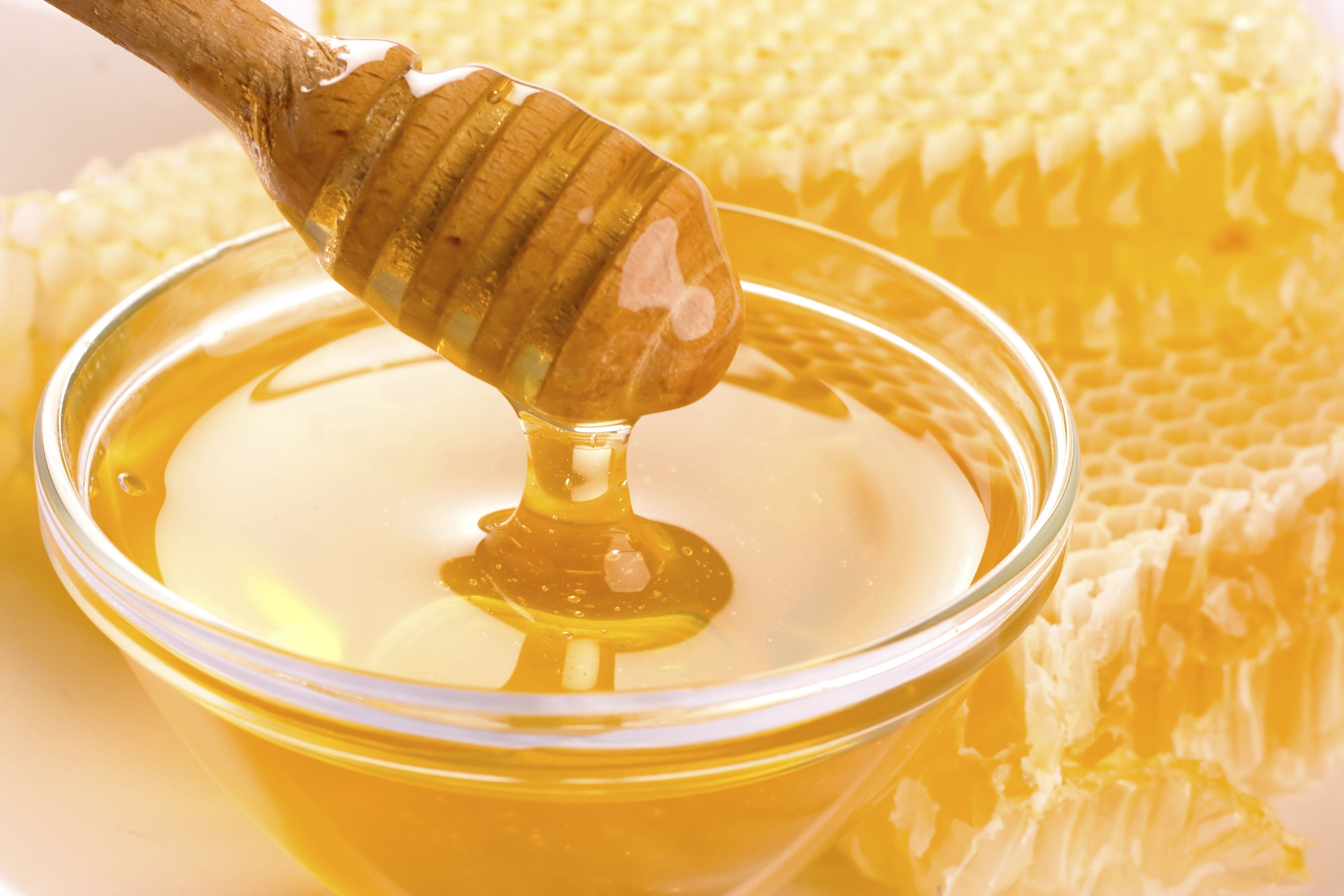 Miel para combatir infecciones