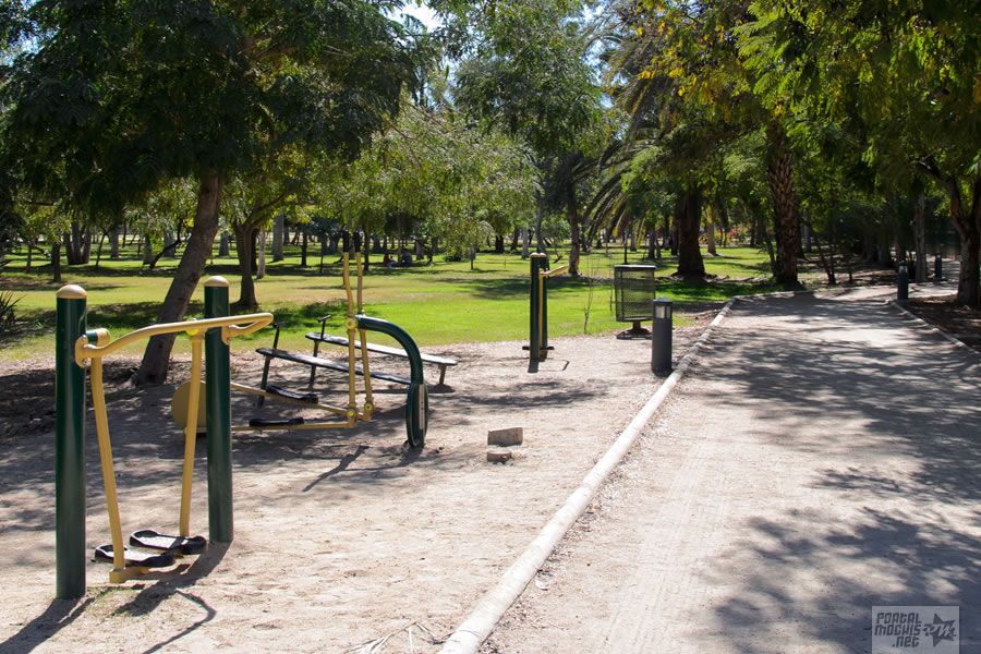 Entrena musculación en el parque