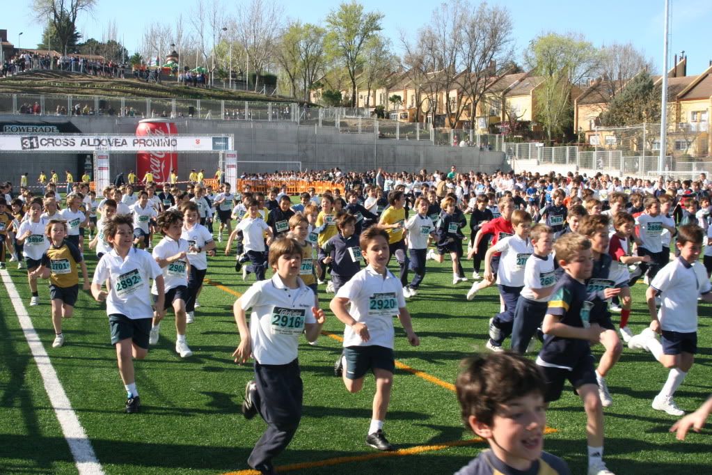 Cross Aldovea Proniño