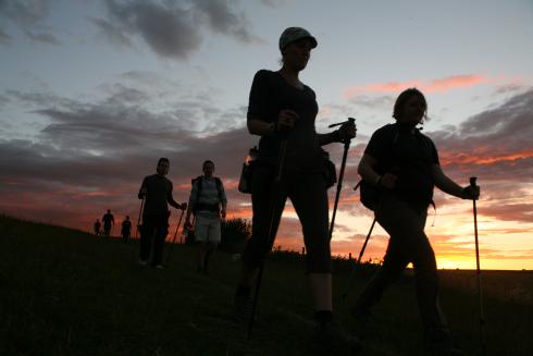 Hi-Tec busca equipo para Trailwalker,¿te apuntas?