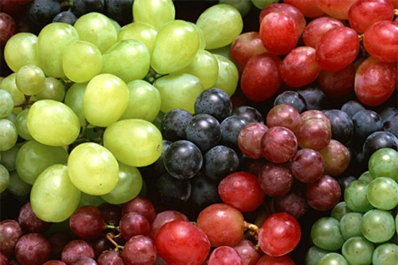 Alimentos que te cuidan