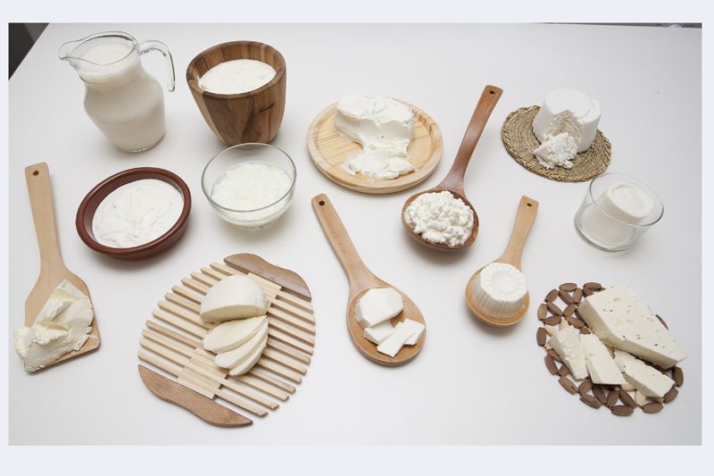 El queso y sus propiedades
