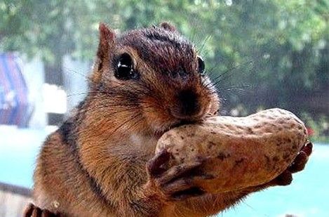 Alimentos para olvidarte de la depresión