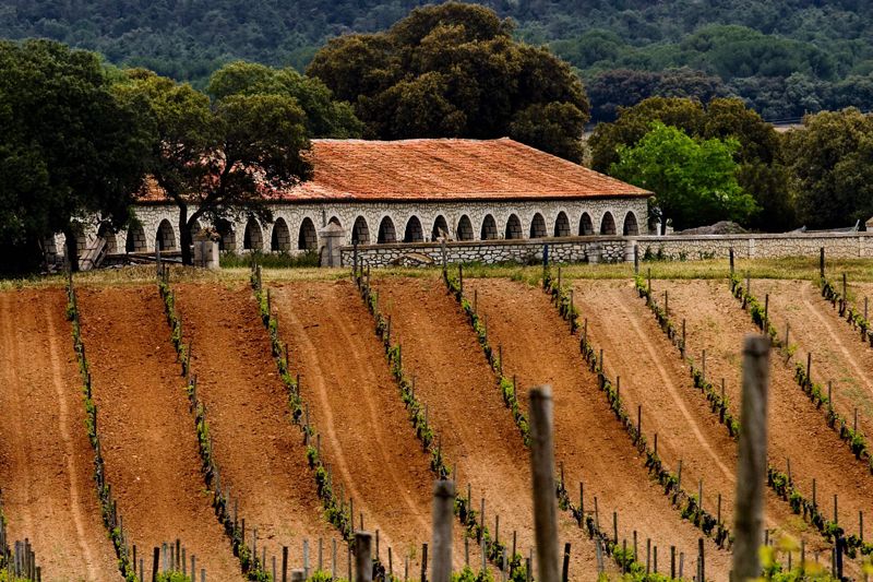 Regístrate y disfruta de una estancia en la Posada Real Sitio de Ventosilla en la Ribera del Duero