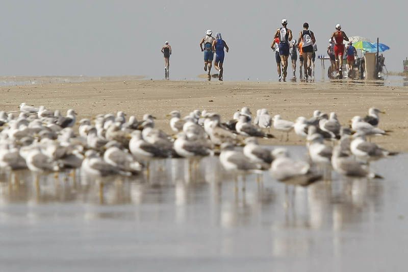 Pon a prueba tu resistencia: apúntate al auténtico Desafío Doñana