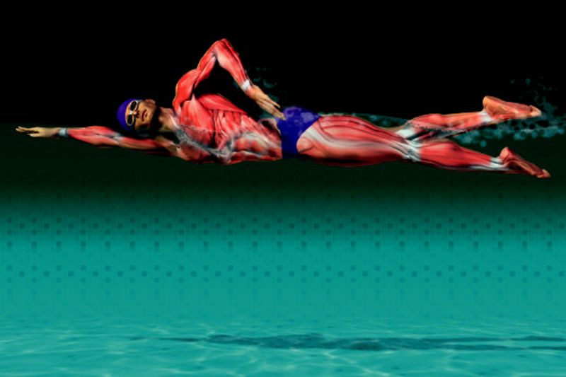 Preparación fisica específica: natación
